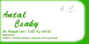 antal csaky business card